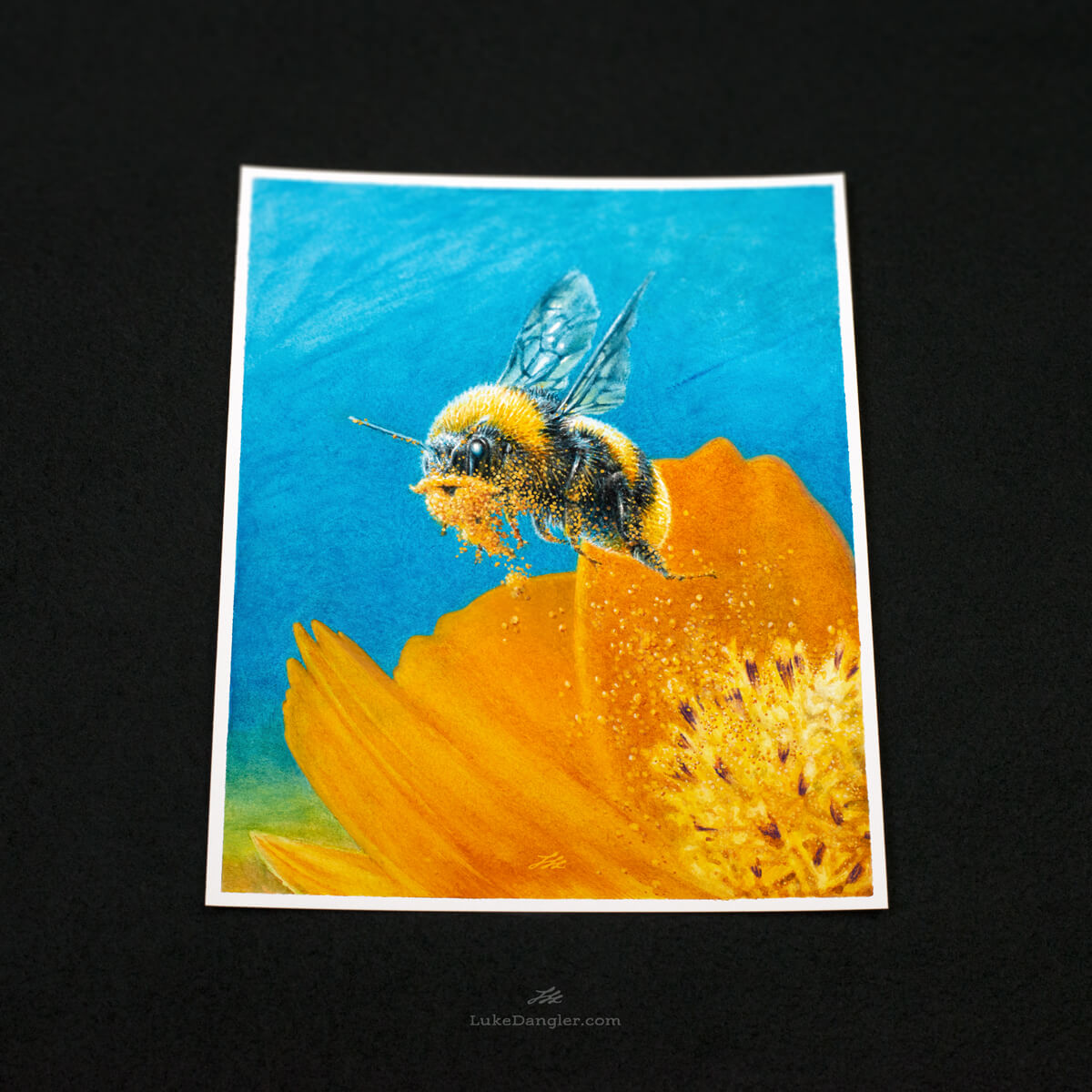 Beeard Print