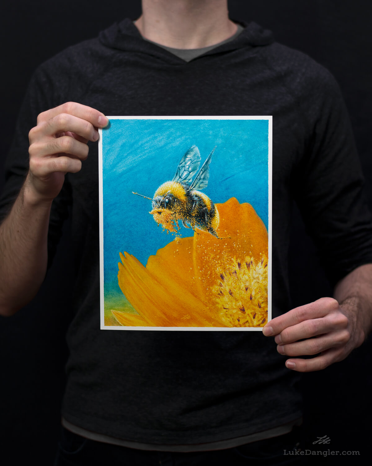 Beeard Print