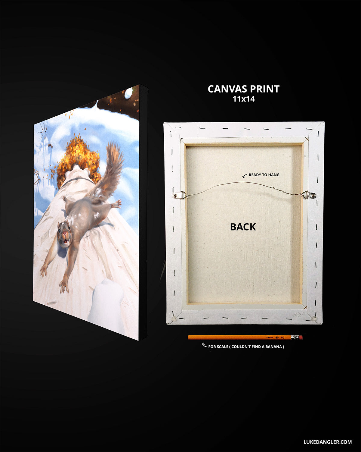 Flying Squirrel Print