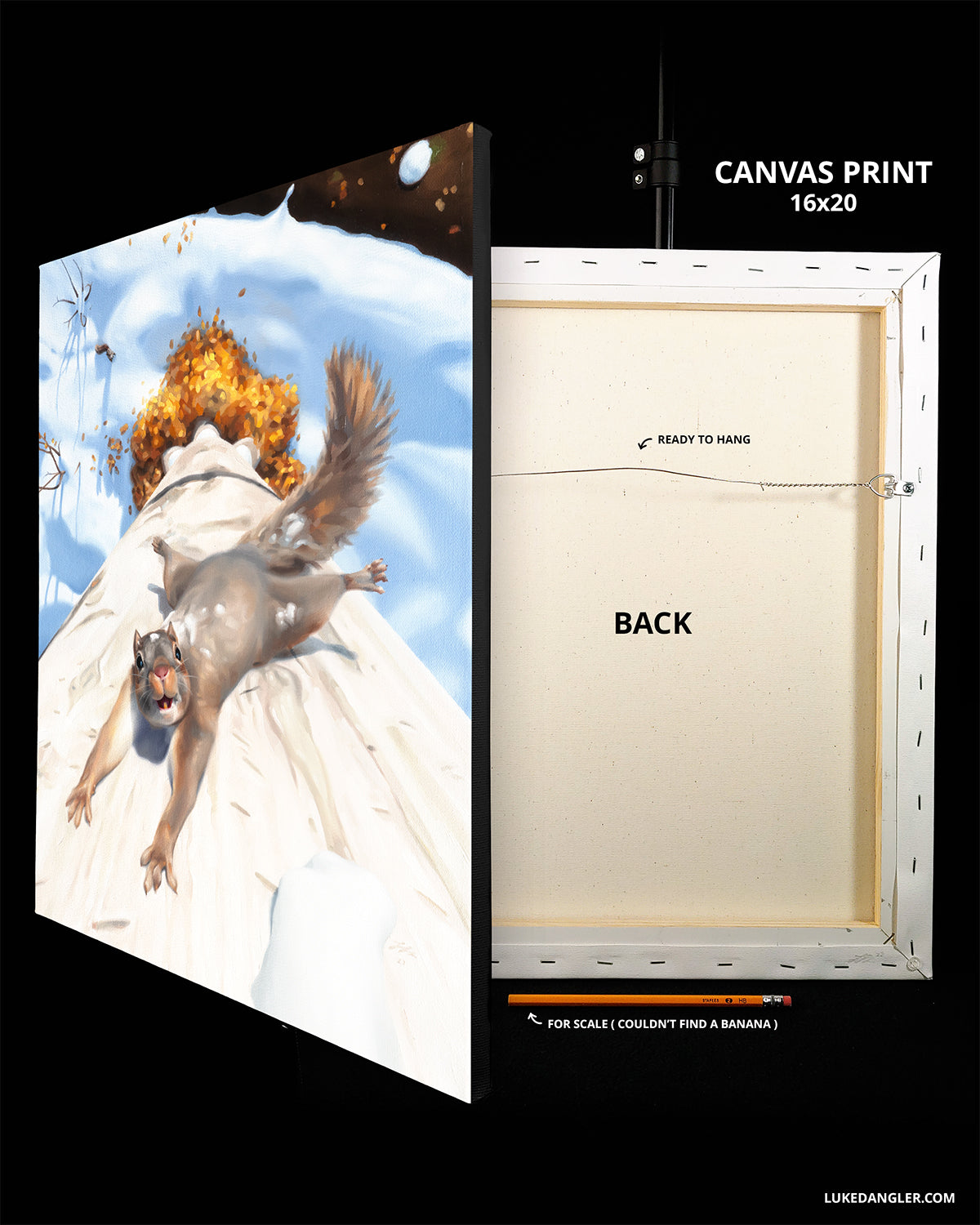 Flying Squirrel Print