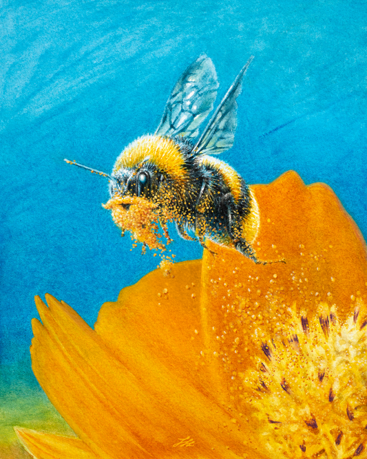 Beeard Painting