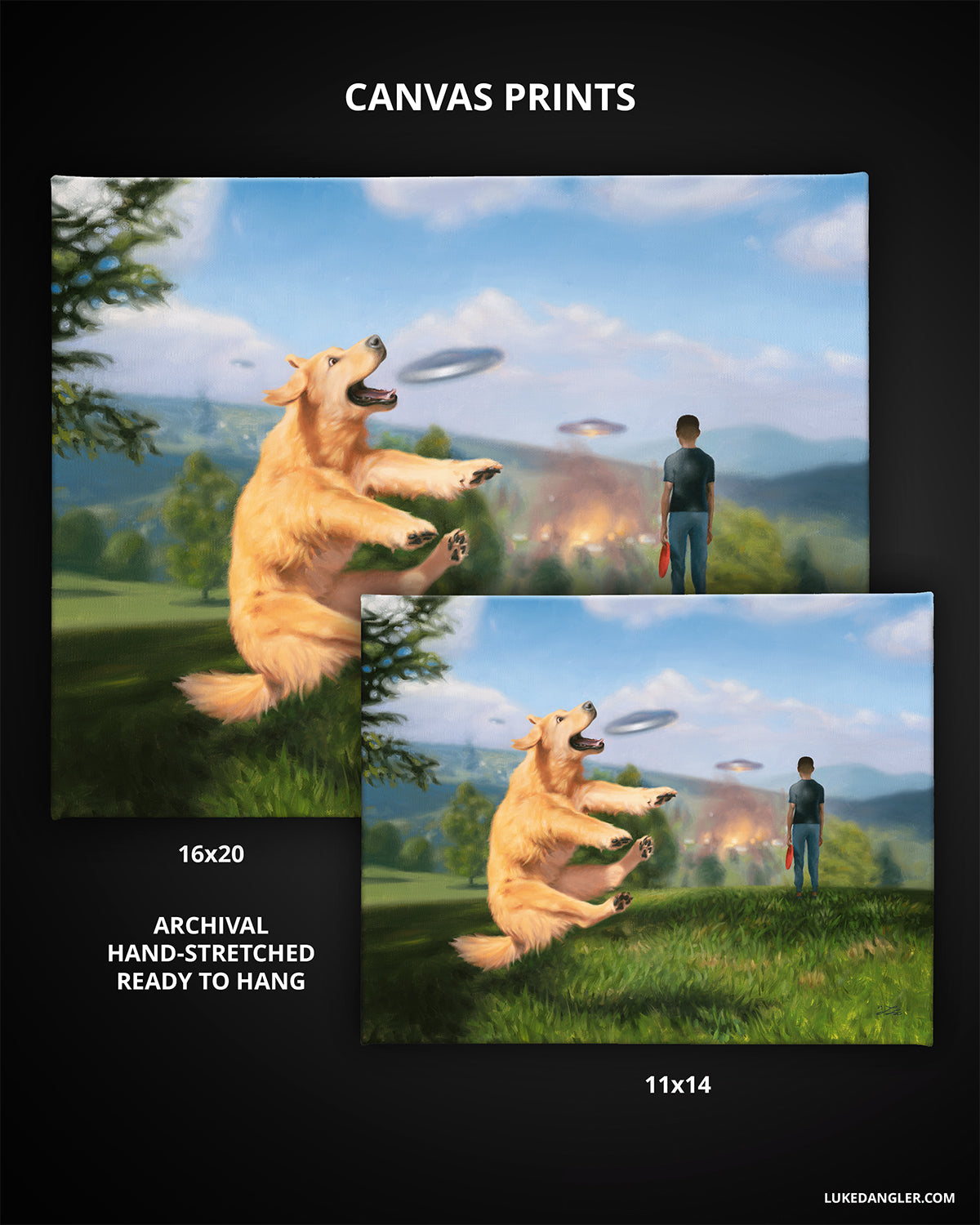 Big Frisbee Canvas Prints